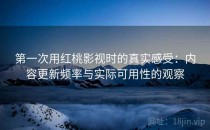 第一次用红桃影视时的真实感受：内容更新频率与实际可用性的观察