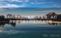 黑料网使用后的直观印象整理：从打开到使用顺手所经历的全过程