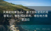 天美密桃果冻mv｜基于实际使用的观察笔记：哪些地方好用，哪些地方需要适应