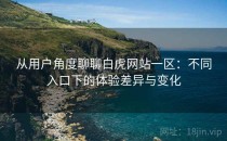 从用户角度聊聊白虎网站一区：不同入口下的体验差异与变化