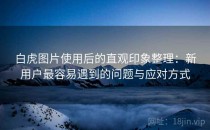 白虎图片使用后的直观印象整理：新用户最容易遇到的问题与应对方式