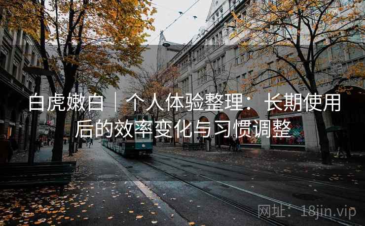 白虎嫩白|个人体验整理:长期使用后的效率变化与习惯调整 第2张 白虎嫩白|个人体验整理:长期使用后的效率变化与习惯调整 第2张