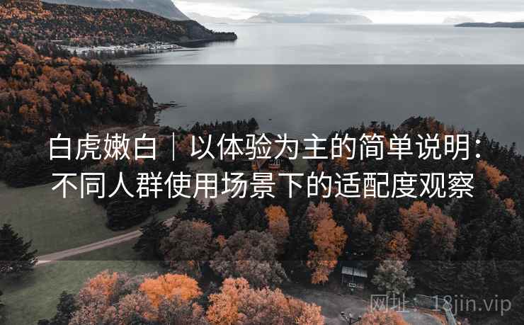 白虎嫩白|以体验为主的简单说明:不同人群使用场景下的适配度观察 第1张 白虎嫩白|以体验为主的简单说明:不同人群使用场景下的适配度观察 第1张