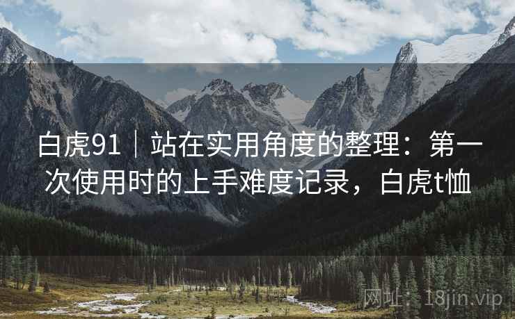 白虎91｜站在实用角度的整理：第一次使用时的上手难度记录，白虎t恤  第2张