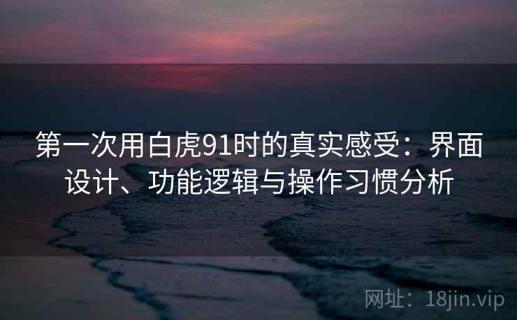 第一次用白虎91时的真实感受：界面设计、功能逻辑与操作习惯分析  第2张
