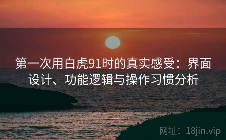 第一次用白虎91时的真实感受：界面设计、功能逻辑与操作习惯分析  第1张