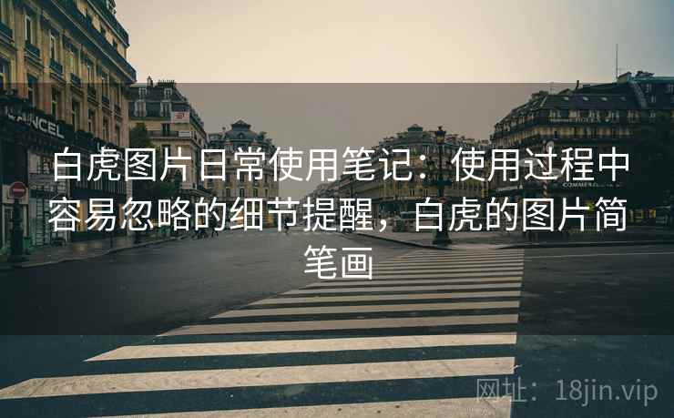 白虎图片日常使用笔记：使用过程中容易忽略的细节提醒，白虎的图片简笔画  第1张