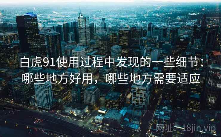 白虎91使用过程中发现的一些细节：哪些地方好用，哪些地方需要适应  第1张
