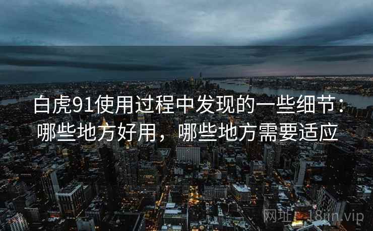 白虎91使用过程中发现的一些细节：哪些地方好用，哪些地方需要适应  第2张