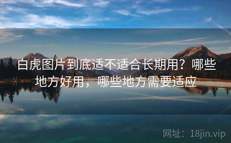 白虎图片到底适不适合长期用?哪些地方好用,哪些地方需要适应 第2张 白虎图片到底适不适合长期用?哪些地方好用,哪些地方需要适应 第2张