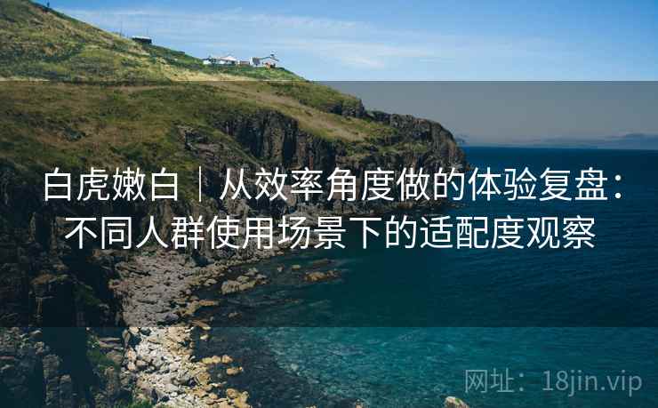 白虎嫩白|从效率角度做的体验复盘:不同人群使用场景下的适配度观察 第1张 白虎嫩白|从效率角度做的体验复盘:不同人群使用场景下的适配度观察 第1张