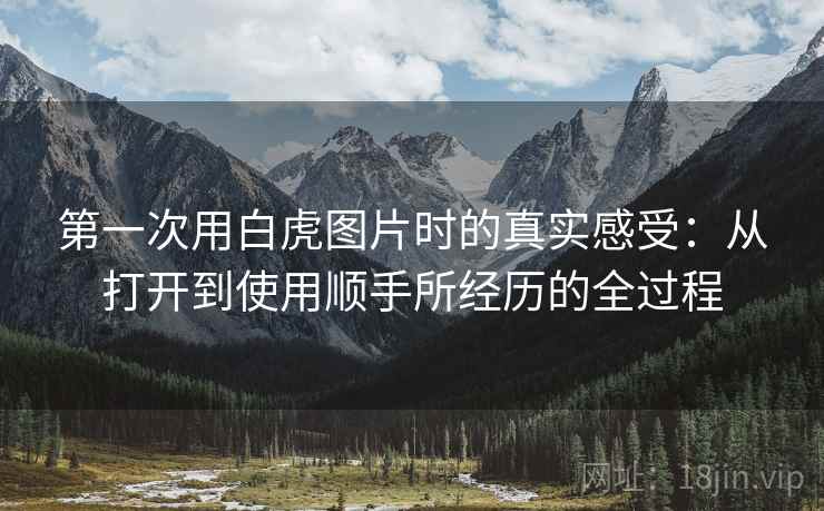 第一次用白虎图片时的真实感受:从打开到使用顺手所经历的全过程 第2张 第一次用白虎图片时的真实感受:从打开到使用顺手所经历的全过程 第2张