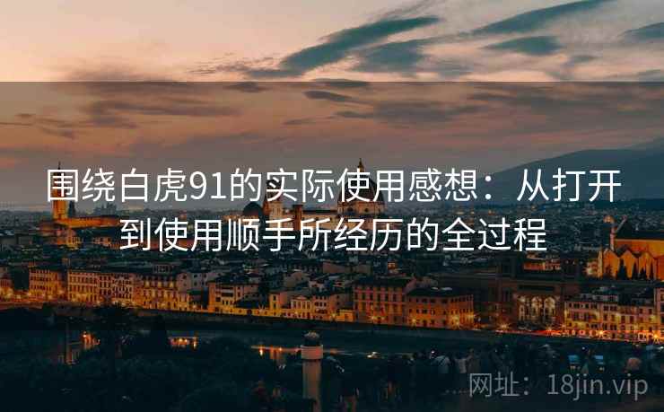 围绕白虎91的实际使用感想:从打开到使用顺手所经历的全过程 第2张 围绕白虎91的实际使用感想:从打开到使用顺手所经历的全过程 第2张