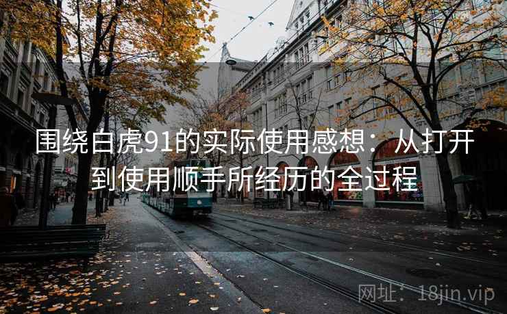 围绕白虎91的实际使用感想:从打开到使用顺手所经历的全过程 第1张 围绕白虎91的实际使用感想:从打开到使用顺手所经历的全过程 第1张