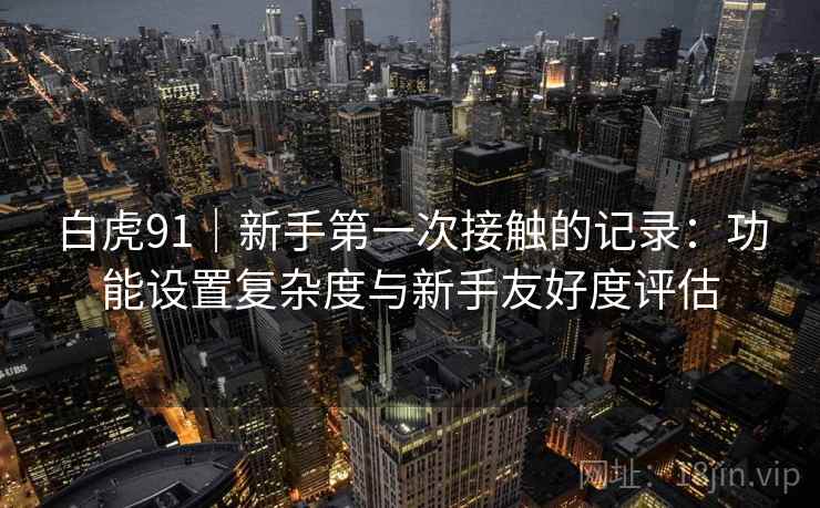 白虎91|新手第一次接触的记录:功能设置复杂度与新手友好度评估 第2张 白虎91|新手第一次接触的记录:功能设置复杂度与新手友好度评估 第2张