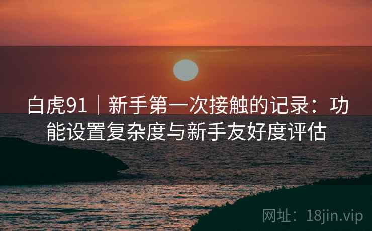 白虎91|新手第一次接触的记录:功能设置复杂度与新手友好度评估 第1张 白虎91|新手第一次接触的记录:功能设置复杂度与新手友好度评估 第1张
