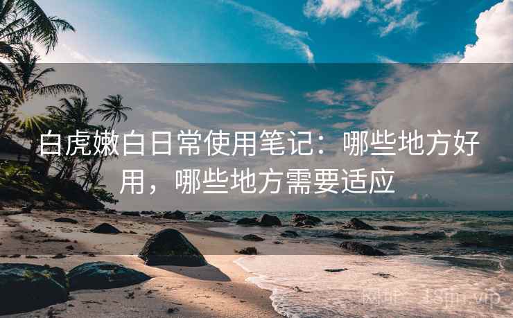 白虎嫩白日常使用笔记:哪些地方好用,哪些地方需要适应 第2张 白虎嫩白日常使用笔记:哪些地方好用,哪些地方需要适应 第2张
