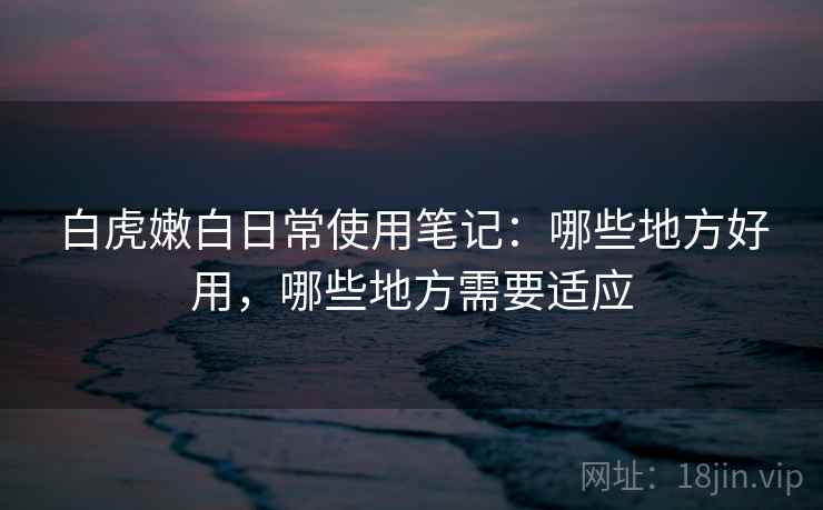 白虎嫩白日常使用笔记:哪些地方好用,哪些地方需要适应 第1张 白虎嫩白日常使用笔记:哪些地方好用,哪些地方需要适应 第1张