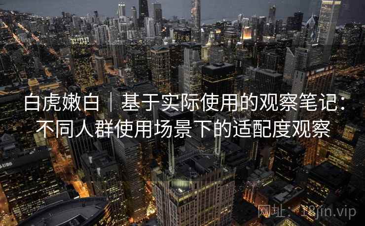 白虎嫩白|基于实际使用的观察笔记:不同人群使用场景下的适配度观察 第2张 白虎嫩白|基于实际使用的观察笔记:不同人群使用场景下的适配度观察 第2张